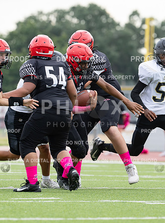 DLS_8416