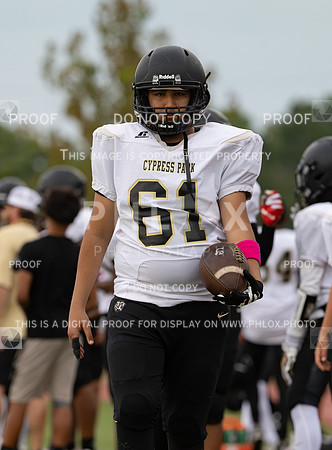 DLS_8481