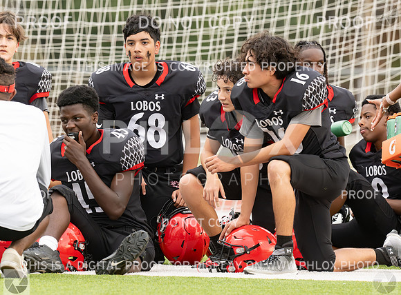 DLS_8564
