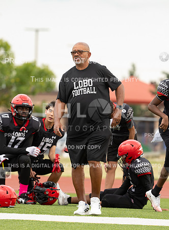 DLS_8582