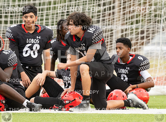 DLS_8579
