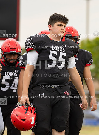 DLS_8620