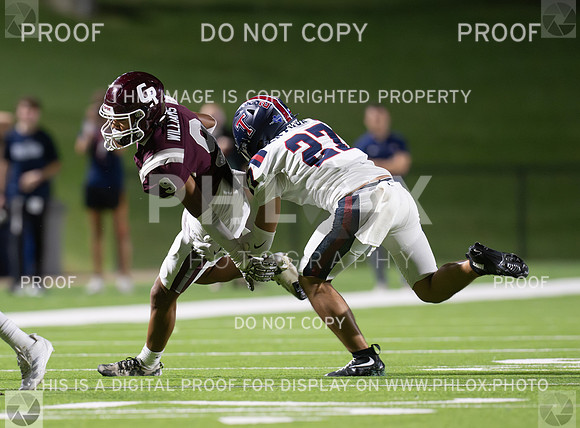 DLS_0515