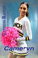 24x36 Cameryn Drake