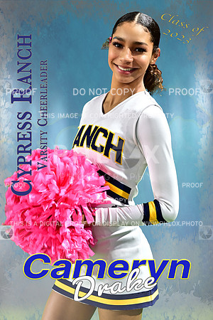 24x36 Cameryn Drake