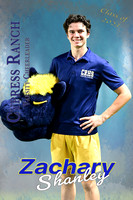 24x36 Zach Shanley
