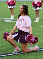 CLM_4463