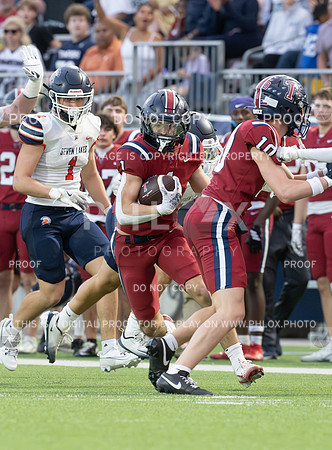 DLS_2131