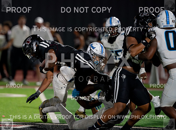 20251024-_SG91189-Enhanced-NR
