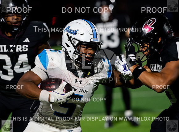 20251024-_SG91307-Enhanced-NR