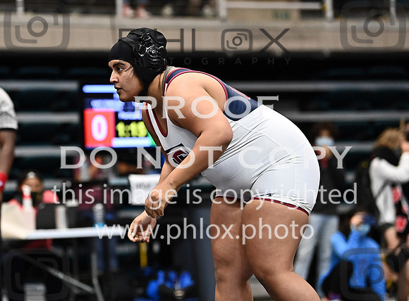 DLS_3189