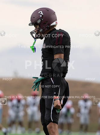 DLS_2977