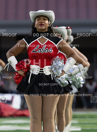 DLS_3128