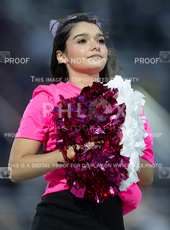 DLS_3149