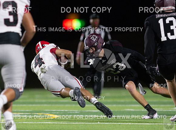 DLS_4199