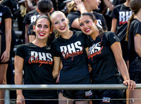 PSZ_183355