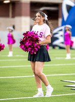 PSZ_184152