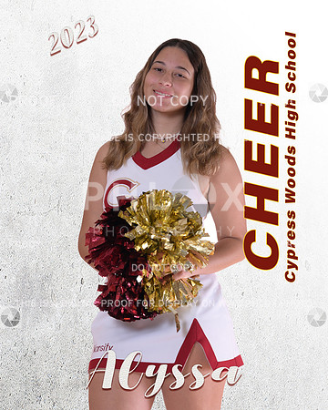 Alyssa graphic