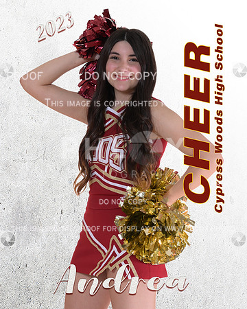 Andrea graphic