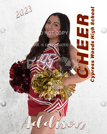 Addison Curry graphic