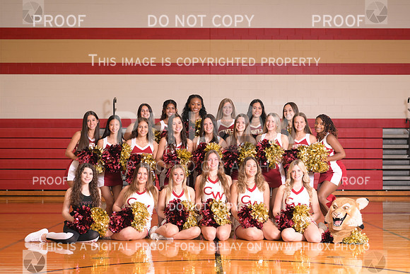 CW Varsity Cheer