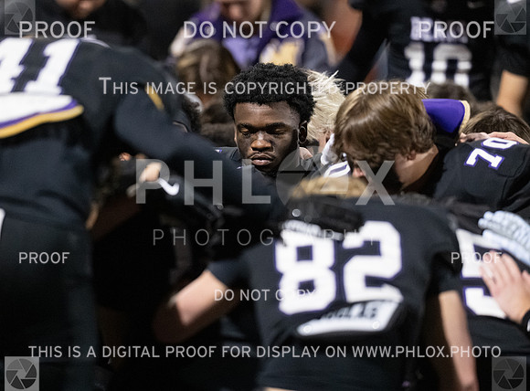 DLS_6697