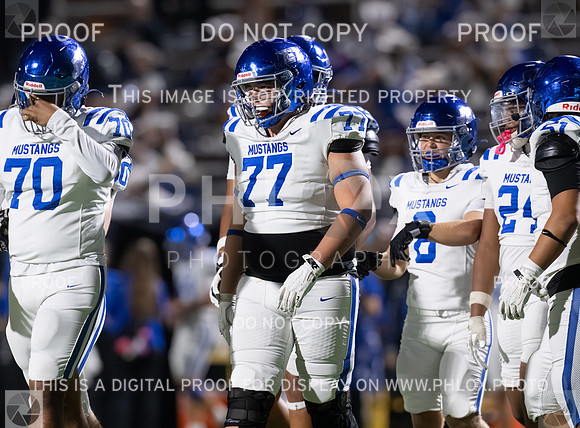 DLS_2091