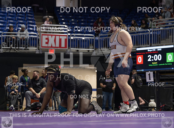 DLS_9714