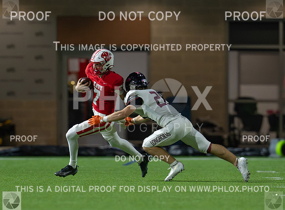 DLS_3693
