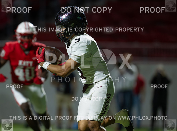 DLS_3709