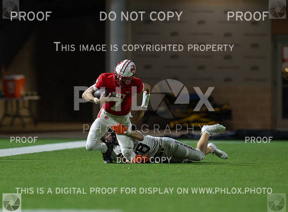 DLS_3695
