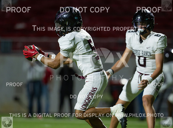 DLS_3708