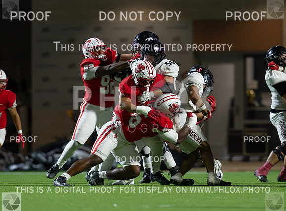 DLS_3917