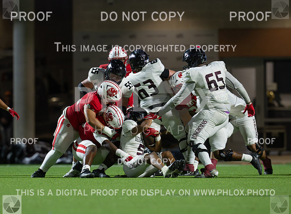 DLS_3921