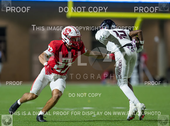 DLS_4069