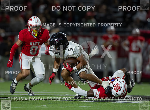 DLS_4101