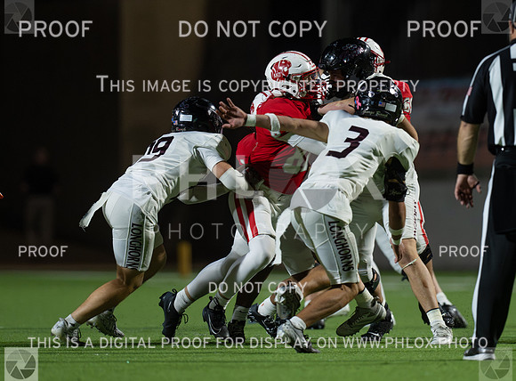 DLS_4119
