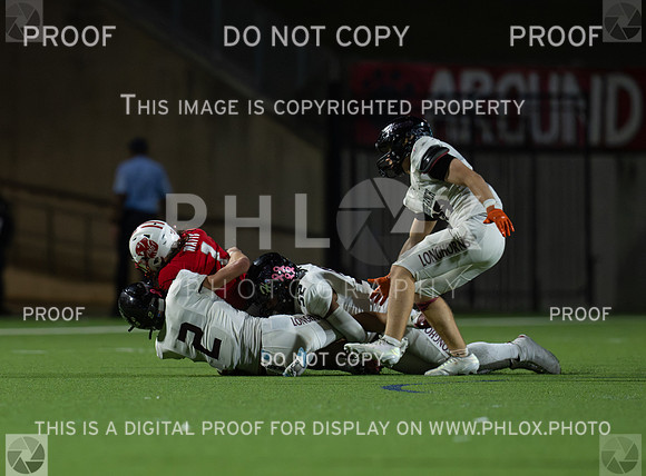 DLS_4183