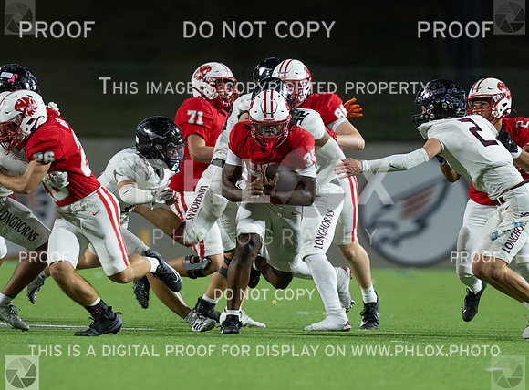 DLS_4196