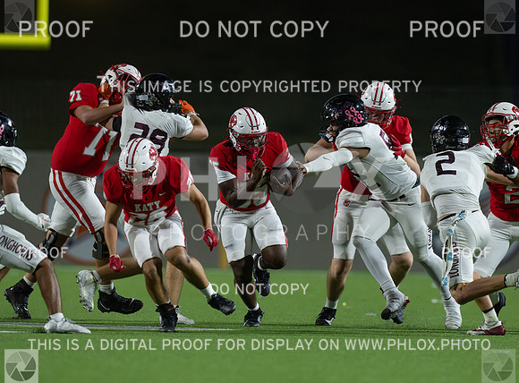 DLS_4194