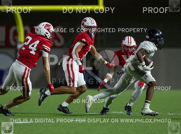 DLS_4308
