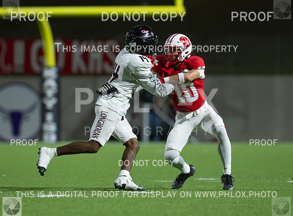 DLS_4304