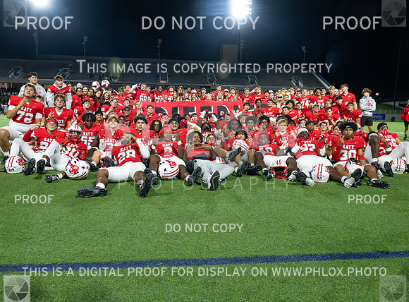 DLS_4334