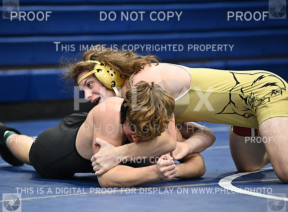 DLS_4361