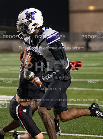 DLS_0140
