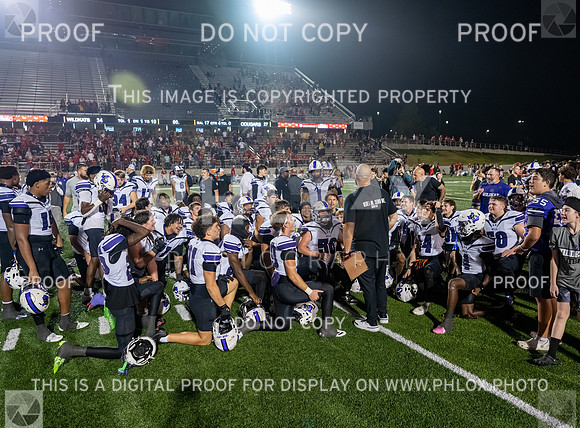 DLS_0310
