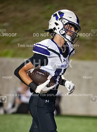 DLS_8126