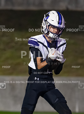 DLS_8179