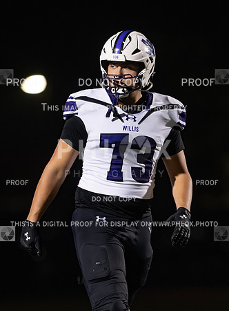 DLS_8293