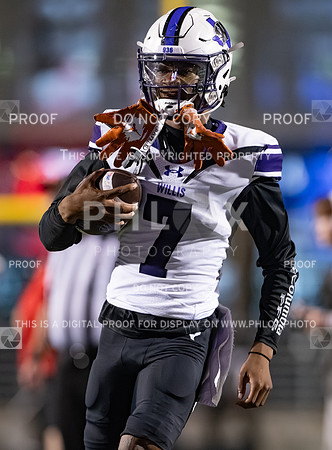 DLS_8335